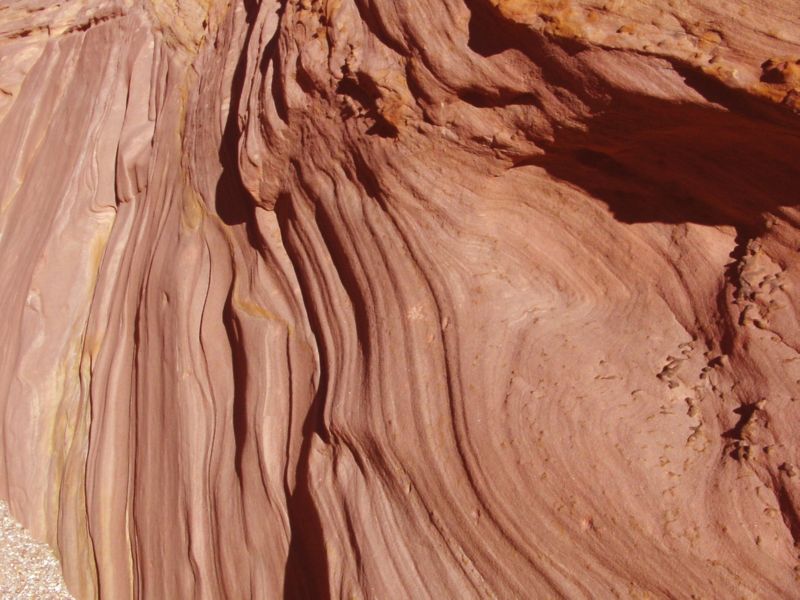 04160302LittleWildHorse (1087)